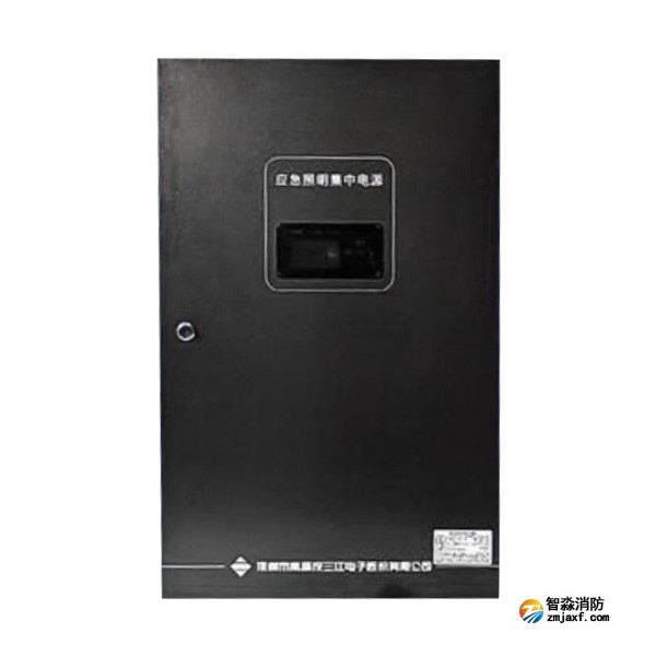 广西海湾SJ-D-0.6KVA/P601AC应急照明集中电源 4回路 壁挂式